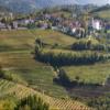 Posterazzi PDDEU38BTH0023LARGE Slovenia, Goriska Brda Rich Viticulture Region with Fields of Vines Photo Print, 24 x 36, Multi view 1