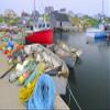 Posterazzi PDDCN07BJY0034LARGE Canada, Nova Scotia, Peggy's Cove. Fishing Gear and Harbor Photo Print, 24 x 36, Multi view 1