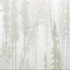 Posterazzi PDDCN08BJY0271LARGE Canada, Ontario, Ear Falls. Forest in Fog Photo Print, 24 x 36, Multi view 1