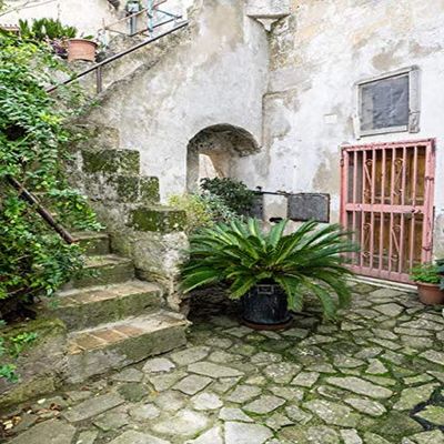 Posterazzi PDDEU16JEG0842LARGE Italy, Basilicata, Matera. Plants Adorn The Outside Walls of The Sassi Houses Photo Print, 24 x 36, Multi