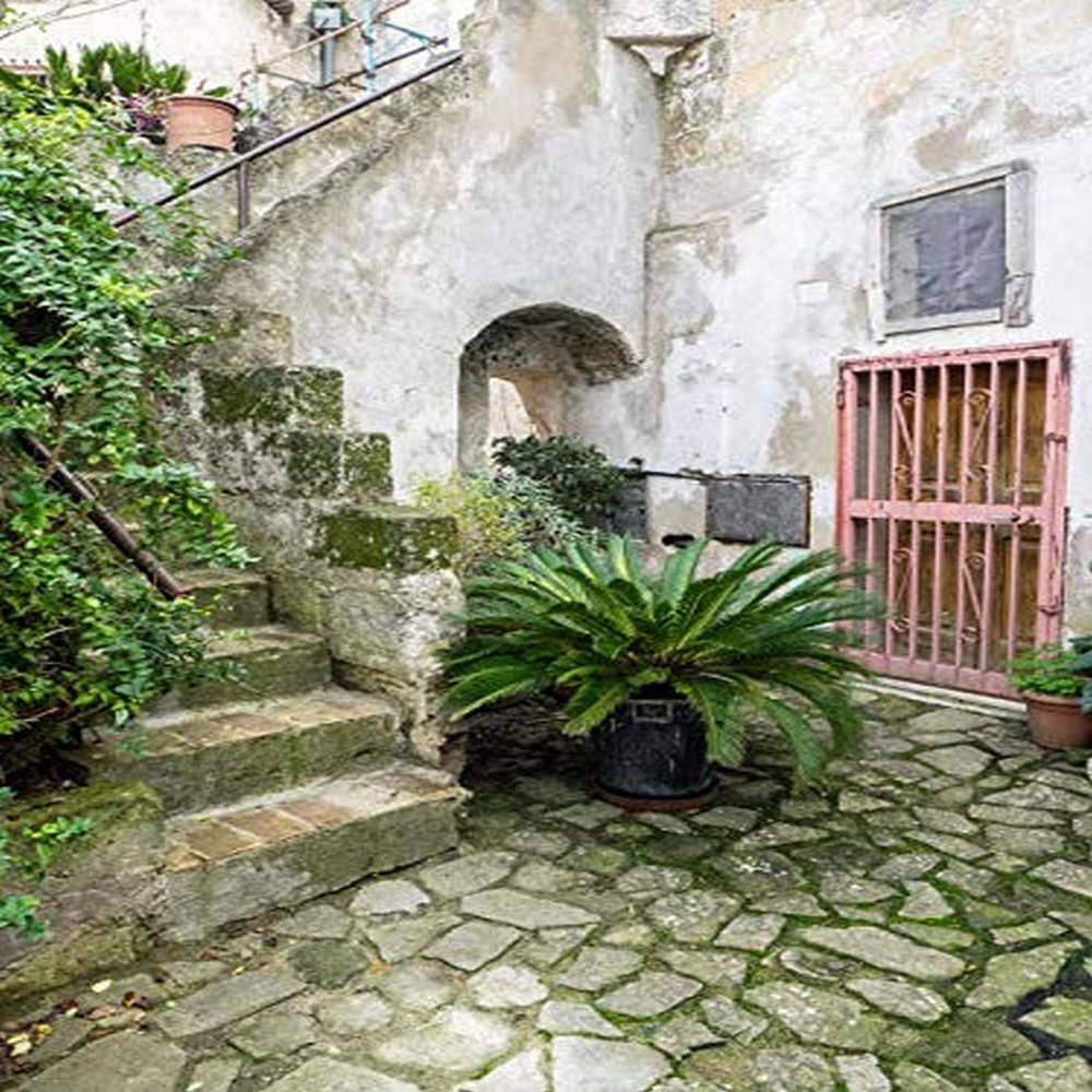 Posterazzi PDDEU16JEG0842LARGE Italy, Basilicata, Matera. Plants Adorn The Outside Walls of The Sassi Houses Photo Print, 24 x 36, Multi