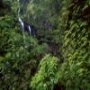 Posterazzi PDDUS12SWR0697LARGE Waimoku Falls Surrounded by Verdant Forest, Impatiens Flowers, Maui, Hawaii Photo Print, 24 x 36, Multi view 1