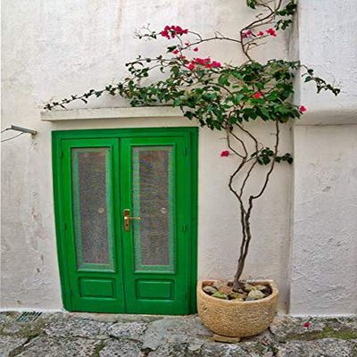 Posterazzi PDDEU16JEG0695 Italy, Puglia, Brindisi, Itria Valley, Green Doorway with Potted Blooming Plant on The Street of Old Town Ostuni Photo Print, 18 x 24, Multi