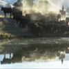 Posterazzi PDDUS05ECL0040LARGE USA, California, Parkfield, V6 Ranch Cowgirl with Cows, Reflected in Pond Photo Print, 24 x 36, Multi view 1
