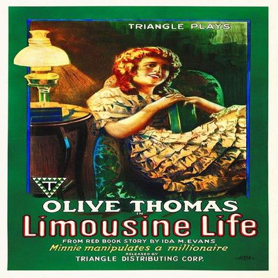 Posterazzi PDX482554LARGE Limosine Life Photo Print, 24 x 36, Multi