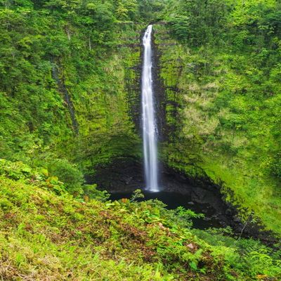 Posterazzi PDDUS12RBS0351LARGE, Akaka Falls State Park, Hamakua Coast, Big Island, Hawaii, USA Photo Print, 24 x 36, Multi