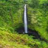 Posterazzi PDDUS12RBS0351LARGE, Akaka Falls State Park, Hamakua Coast, Big Island, Hawaii, USA Photo Print, 24 x 36, Multi view 1
