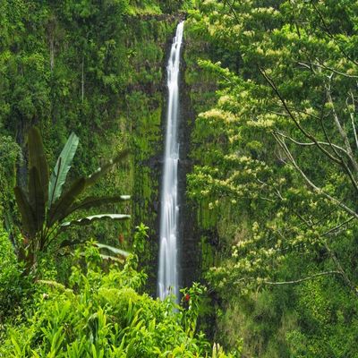 Posterazzi PDDUS12RBS0357LARGE, Akaka Falls State Park, Hamakua Coast, Big Island, Hawaii, USA Photo Print, 24 x 36, Multi