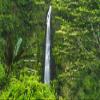 Posterazzi PDDUS12RBS0357LARGE, Akaka Falls State Park, Hamakua Coast, Big Island, Hawaii, USA Photo Print, 24 x 36, Multi view 1