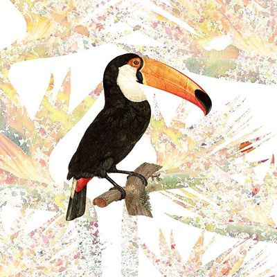 Posterazzi PDXKARC1336ALARGE Toucan Photo Print, 24 x 36, Multi
