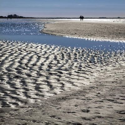Posterazzi PDDUS10LEN1046LARGE Beach at Low Tide, Honeymoon Island State Park, Dunedin, Florida, USA Photo Print, 24 x 36, Multi