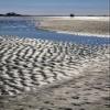 Posterazzi PDDUS10LEN1046LARGE Beach at Low Tide, Honeymoon Island State Park, Dunedin, Florida, USA Photo Print, 24 x 36, Multi view 1