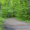 Posterazzi PDDUS14RDY2413LARGE Trail at Ferne Clyffe State Park, Johnson County, Illinois Photo Print, 24 x 36, Multi view 1