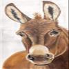 Posterazzi PDXDF112LARGE It Behooves Me Photo Print, 18 x 36, Multi view 1