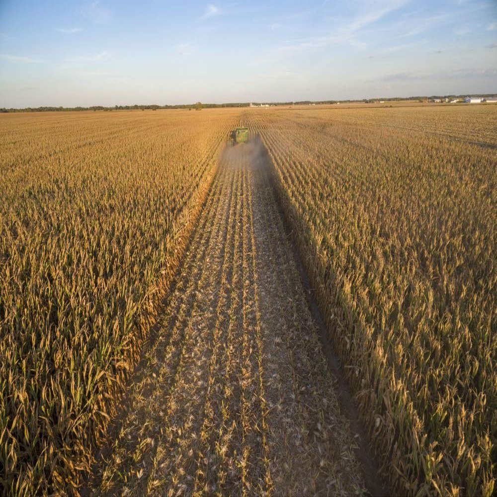 Posterazzi PDDUS14RDY2397 Corn, John Deere Combine harvesting cornl, Marion County, Illinois Photo Print, 18 x 24, Multi