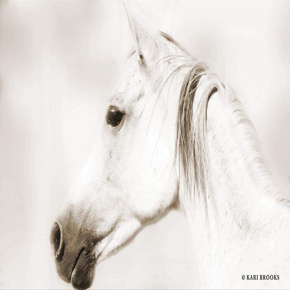 Posterazzi PDXKARI126LARGE Dash IV Photo Print, 36 x 24, Multi