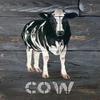 Posterazzi PDXCIN154LARGE Cow Photo Print, 24 x 24, Multi view 1