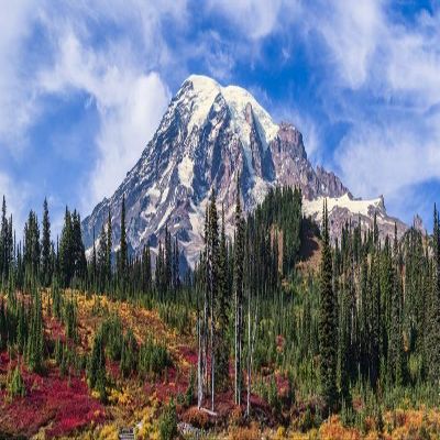 Posterazzi DPI12330451LARGE, Mount Rainier National Park Washington, United States of America Photo Print, 74 x 24, Multi