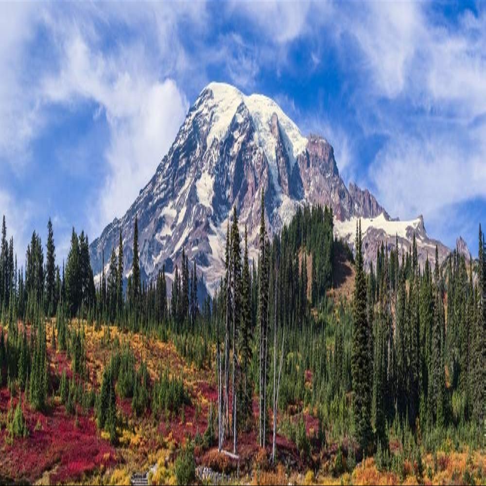 Posterazzi DPI12330451LARGE, Mount Rainier National Park Washington, United States of America Photo Print, 74 x 24, Multi