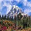 Posterazzi DPI12330451LARGE, Mount Rainier National Park Washington, United States of America Photo Print, 74 x 24, Multi view 1