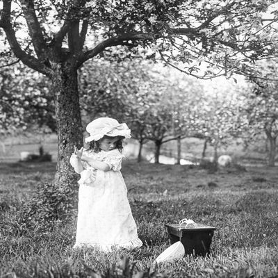 Posterazzi DPI12327075LARGE Scene from Little Miss Muffet Sat On Her Tuffet,cracket Nursery Rhyme Enacted by Chidren from Magic Lantern Slide Circa 1900 Photo Print, 30 x 36, Multi