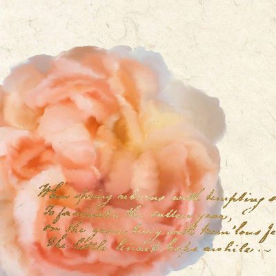 Posterazzi PDXKASQ1223ALARGE Spring Blooming Peach Photo Print, 24 x 24, Multi