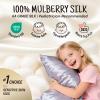 OLESILK Toddler 100% Mulberry Silk Pillowcase, Zipper, 13"x 18", Iron Grey view 2