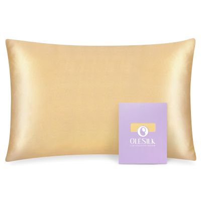 OLESILK 100% Mulberry Silk Toddler Pillowcase for Hair and Skin, Both Sides 19 Momme Pure Natural Silk Travel Pillow Cases with Hidden Zipper, 13"x 18", Gold