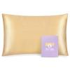 OLESILK 100% Mulberry Silk Toddler Pillowcase for Hair and Skin, Both Sides 19 Momme Pure Natural Silk Travel Pillow Cases with Hidden Zipper, 13"x 18", Gold view 1