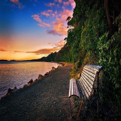 Posterazzi PDXL916DLARGE Watching The Dawn Photo Print, 36 x 24, Multi