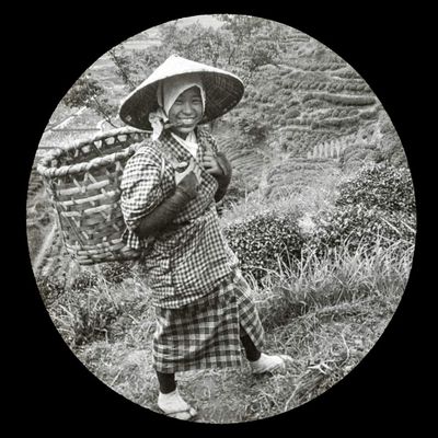 Posterazzi DPI12362159LARGE Magic Lantern Slide Circa 1900.Victorian, A Native Girl with Basket on her Back, Country Unknown Photo Print, 32 x 30, Multi