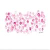 Posterazzi PDXKR217LARGE Dazzle Me Photo Print, 36 x 24, Multi view 1