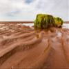 Posterazzi DPI12514596LARGE Bright Green Moss Hanging from a Large Rock on The Wet, red Sand on Shore Prince Edward Island, Canada Photo Print, 38 x 24, Multi view 1