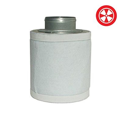 4'' X 10'' Standard Carbon Filter 100/250