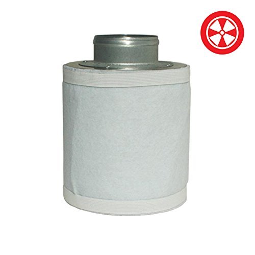 4'' X 10'' Standard Carbon Filter 100/250