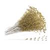 100 Pcs Artificial Pearl 4mm Handmade Bead Strands for DIY Craft Bouquet Decoration Garland Christmas Wedding Party and Home Decoration (Gold) view 1