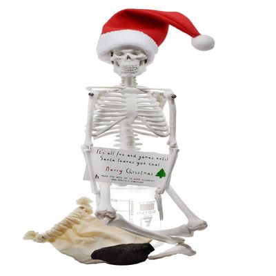 hBARSCI Dead Elf in The Lab - 17" Miniature Skeleton, Santa Hat & Christmas Coal for Scientist, Tech, Manager Teacher