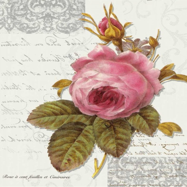 Posterazzi PDXTGRC024ALARGE Rose On Scroll I Photo Print, 24 x 36, Multi