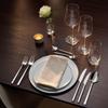 Amefa Metropole Table Fork (Box 12) view 2