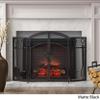 Christopher Knight Home Darlene Modern Iron Folding Fireplace Screen with Door and Tools, Matte Black view 3