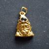 AWAKEN YOUR KUNDALINI Hanuman Chalisa Yantra Kavach Pendant, Panchdhatu with Golden Finish, Approx. 1.25 Inches view 3