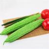 14.2 Inches PU Simulation Vegetable Balsam Pear Model Decoration 3 Pieces view 4