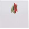Winter and Christmas Poinsettia Holiday Place Cards, Set of 150, Pre-cut and Scored - Wedding, Party, Dinner, and Special Events - Made in the USA view 3