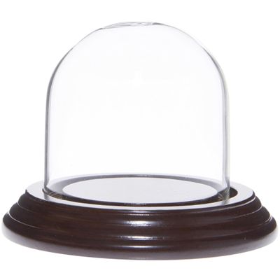 Plymor 2.5" x 2.5" Small Glass Display Dome Cloche (Dark Mahogany Veneer Base)