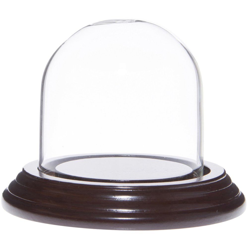 Plymor 2.5" x 2.5" Small Glass Display Dome Cloche (Dark Mahogany Veneer Base)