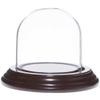 Plymor 2.5" x 2.5" Small Glass Display Dome Cloche (Dark Mahogany Veneer Base) view 1