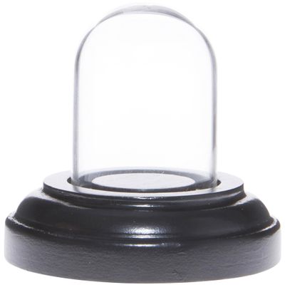 Plymor Miniature 1" x 1.5" Mini Glass Display Dome TINY Cloche (Black Wood Veneer Base)