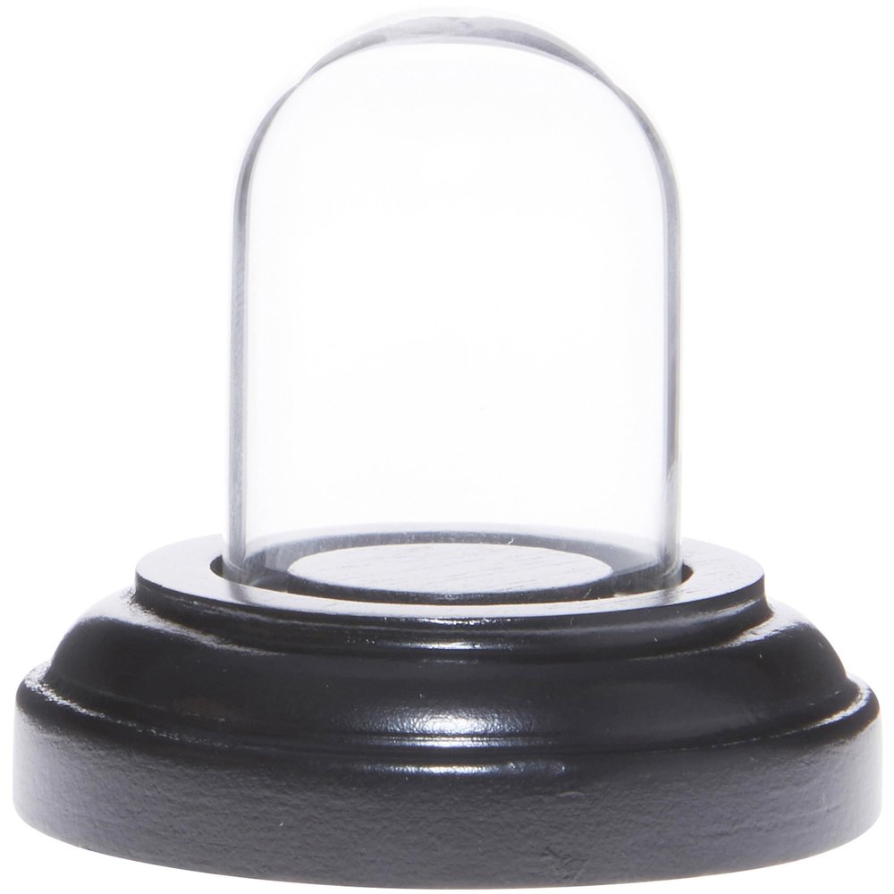 Plymor Miniature 1" x 1.5" Mini Glass Display Dome TINY Cloche (Black Wood Veneer Base)