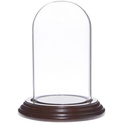 Plymor 2.5" x 4.5" Small Glass Display Dome Cloche (Dark Mahogany Veneer Base)