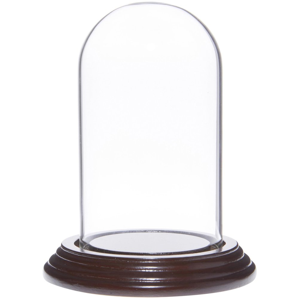 Plymor 2.5" x 4.5" Small Glass Display Dome Cloche (Dark Mahogany Veneer Base)